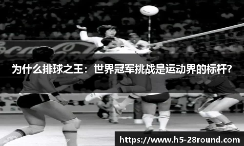 28圈官方网站