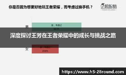 深度探讨王芳在王者荣耀中的成长与挑战之路